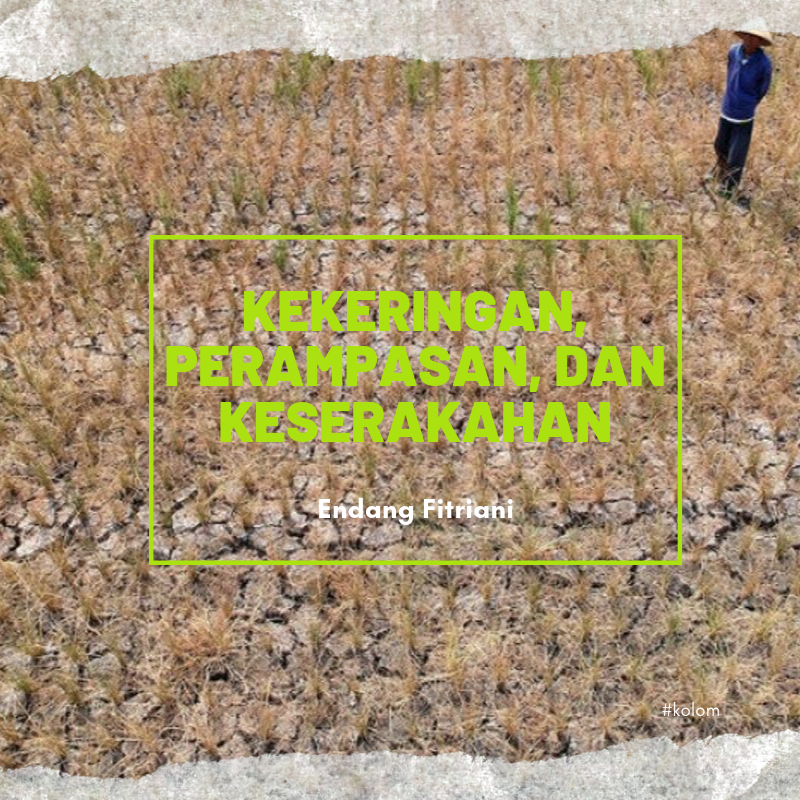 Kekeringan, Perampasan, dan Keserakahan Kekeringan, Perampasan, dan Keserakahan