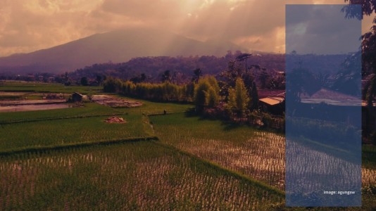 Konsep Hidup Petani Konsep Hidup Petani