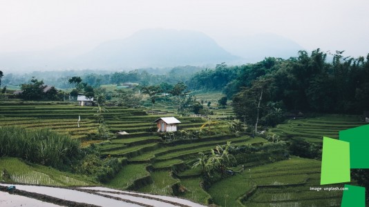 Pak Guru dan Tanah Desanya