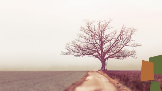 Jejak Orang Bijak Jejak Orang Bijak