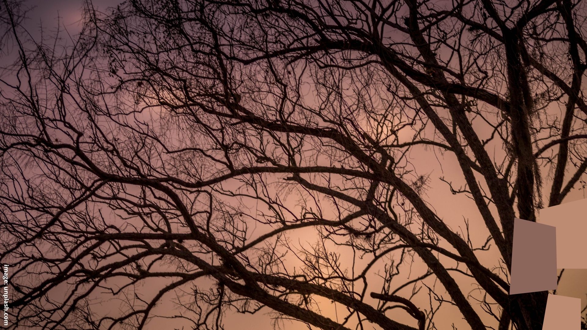 Merangkul Kehilangan Merangkul Kehilangan