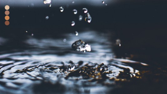 Apa yang Harus Dilakukan, Sudah Dilakukan Apa yang Harus Dilakukan, Sudah Dilakukan